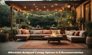 Affordable Backyard Canopy Options