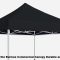 eurmax commercial canopy